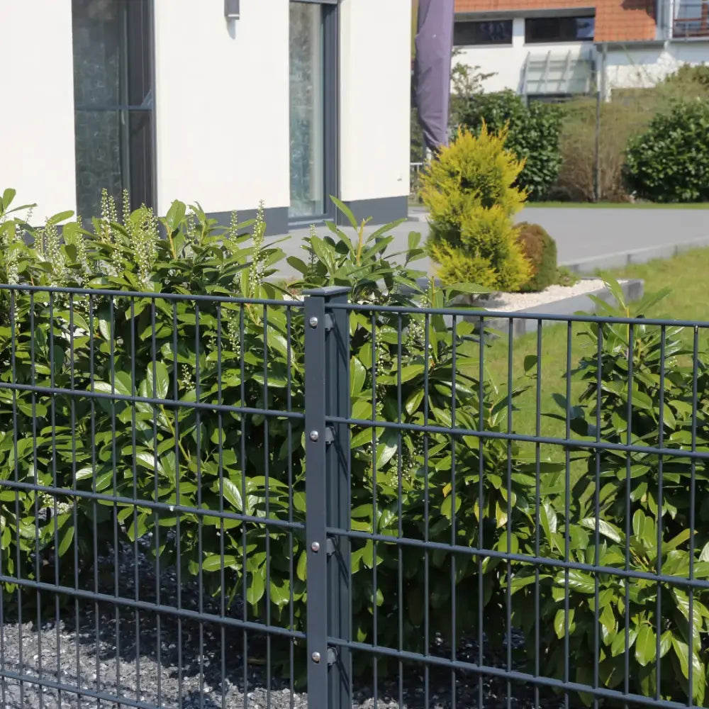 Doppelstabmattenzaun 251 cm - 8x6x8, mit Pfosten-Abdeckleiste zum Aufdübeln Zweitbild