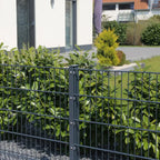 Doppelstabmattenzaun 251 cm - 6x5x6, mit Pfosten-Abdeckleiste für Erdmontage